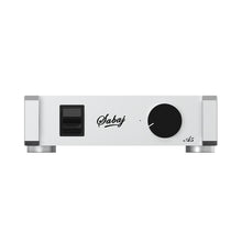 Load image into Gallery viewer, Sabaj A5 Icepower 50*50W amplifier - Hifi-express
